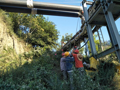 追赶超越，他们用行动争做排头兵