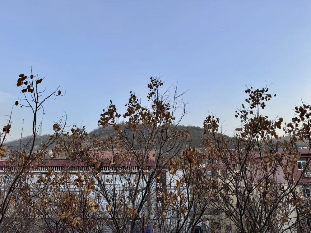 秋意渐浓时,回望来时路